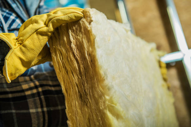 Trusted Winnebago, IL Insulation Contractor Experts